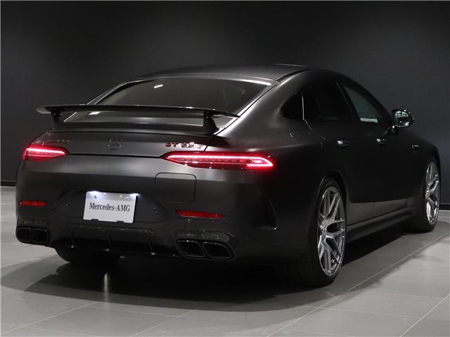 2023 Mercedes-BENZ GT AMG 缩略图 19