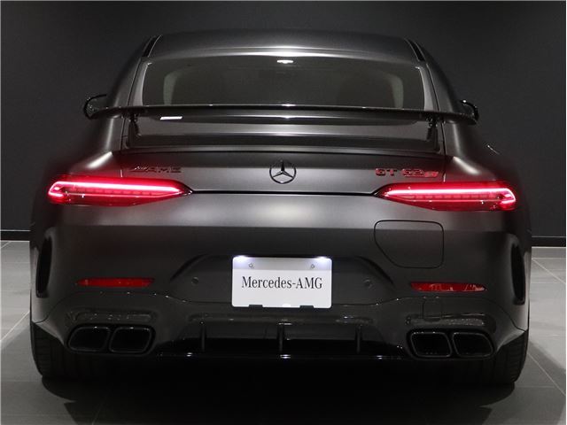 2023 Mercedes-BENZ GT AMG 缩略图 20