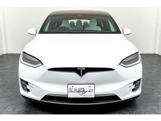 2018 Tesla MODEL X — фото 2