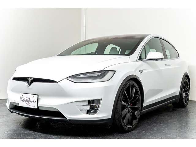 2018 Tesla MODEL X — фото 8