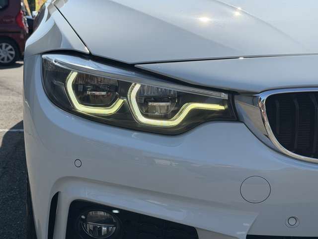 2017 BMW 4 SERIES GRAN COUPE — миниатюра 19