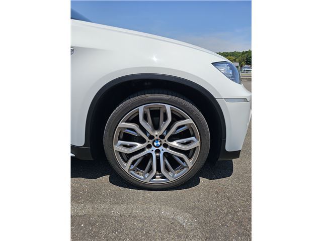 صورة 10 لـ 2012 BMW X6