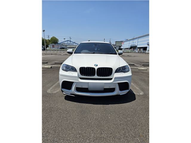 صورة 6 لـ 2012 BMW X6