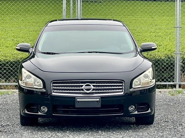 2008 Nissan MAXIMA — миниатюра 2