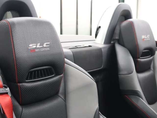 2017 Mercedes-BENZ SL 缩略图 19