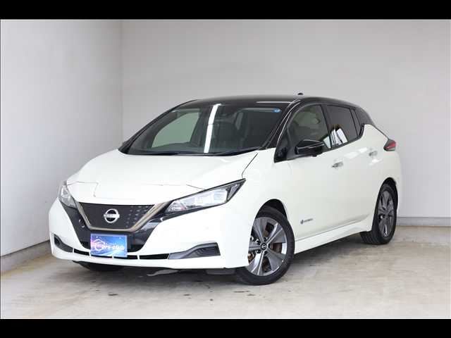 صورة 1 لـ 2022 Nissan LEAF