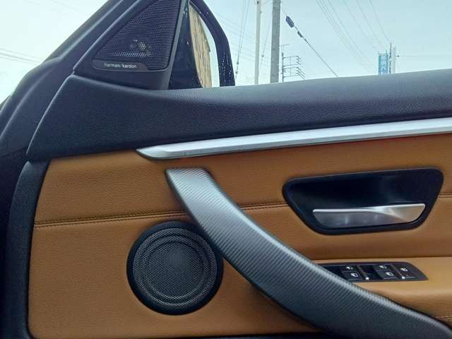 2017 BMW 4 SERIES GRAN COUPE — миниатюра 19
