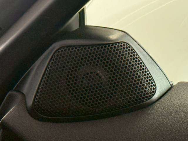 صورة مصغرة 47 لـ 2014 Lexus IS F