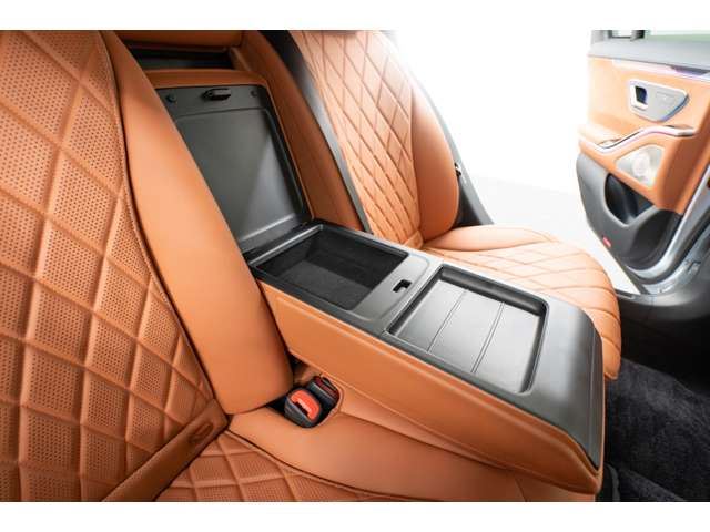 2021 Mercedes-BENZ S-CLASS 缩略图 47