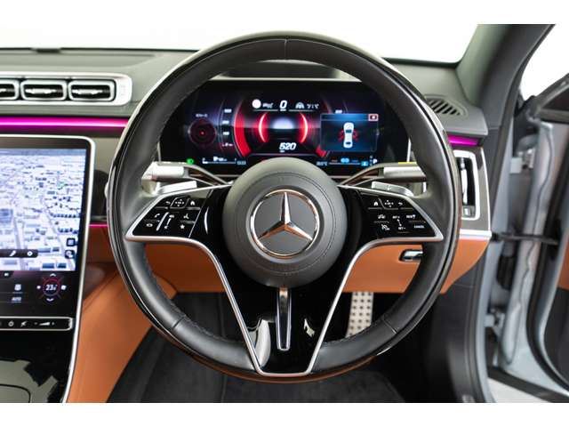 2021 Mercedes-BENZ S-CLASS 缩略图 52