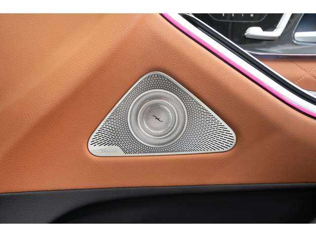 2021 Mercedes-BENZ S-CLASS 缩略图 61