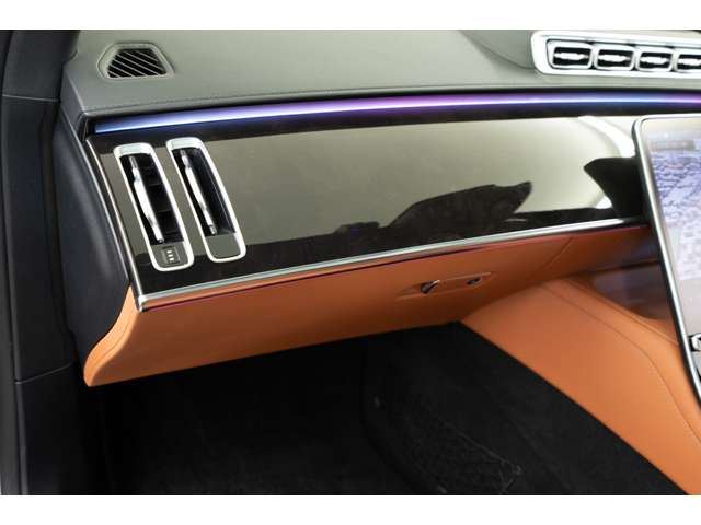 2021 Mercedes-BENZ S-CLASS 缩略图 64