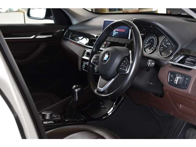 2017 BMW X1 缩略图 24