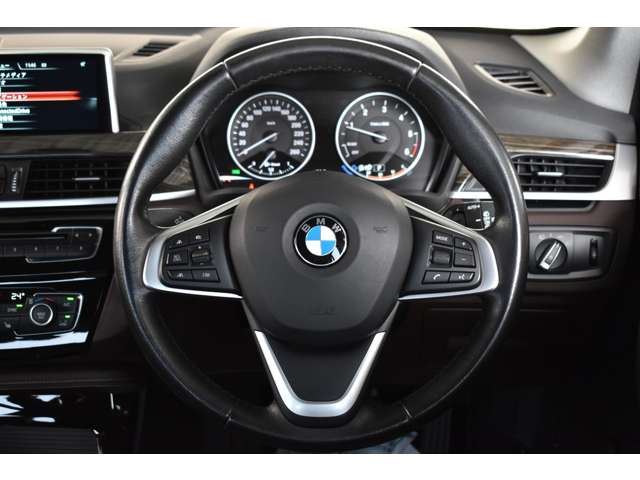 2017 BMW X1 缩略图 25