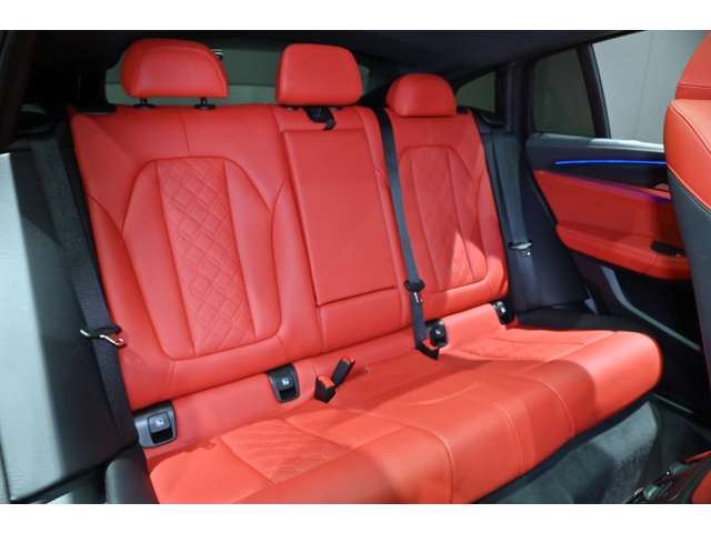 صورة مصغرة 19 لـ 2023 BMW X4