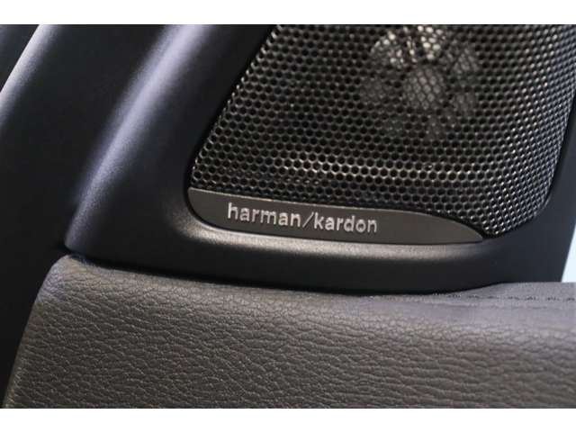 صورة مصغرة 15 لـ 2017 BMW X6