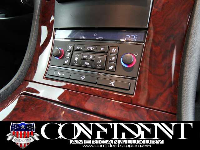 2008 Cadillac ESCALADE — миниатюра 41
