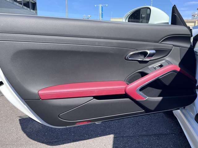 2016 Porsche 718 CAYMAN — миниатюра 24