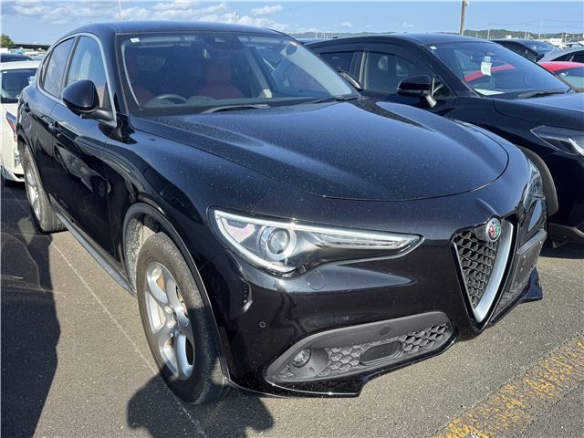 2021 ALFA Romeo STELVIO 照片 1