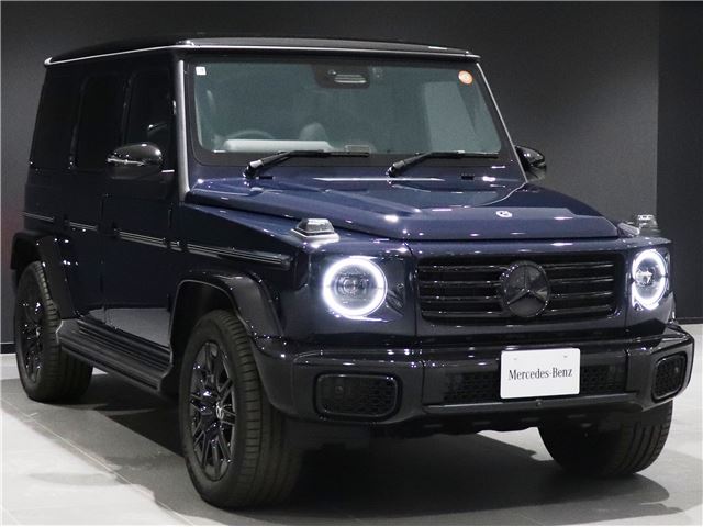2025 Mercedes-BENZ G-CLASS — фото 13