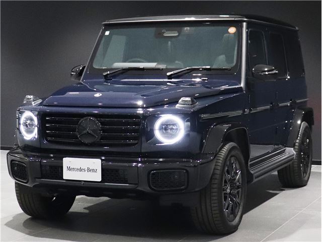 2025 Mercedes-BENZ G-CLASS — фото 11
