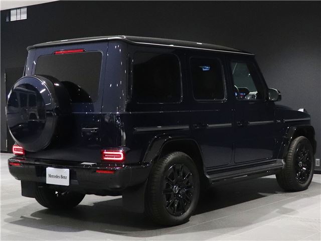 2025 Mercedes-BENZ G-CLASS — фото 16