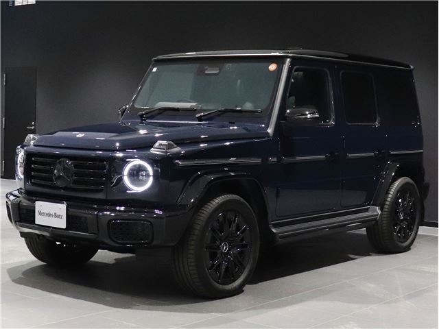2025 Mercedes-BENZ G-CLASS — фото 10