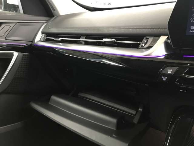 2024 BMW X1 缩略图 32
