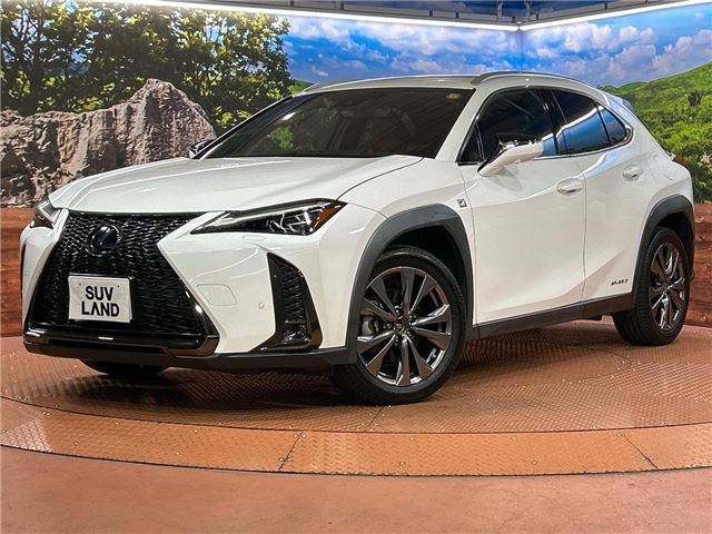 2018 Lexus UX photo 1
