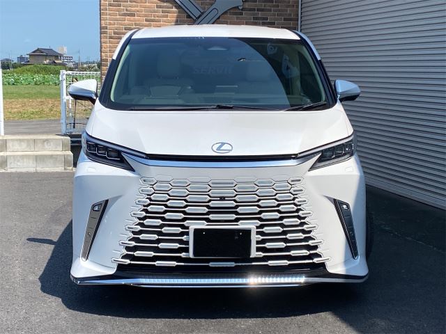 2025 Lexus LM photo 2