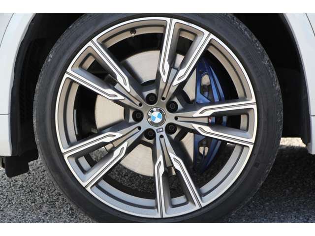 2021 BMW X5 照片 16