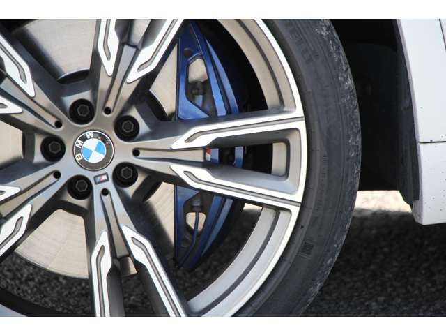 2021 BMW X5 缩略图 17