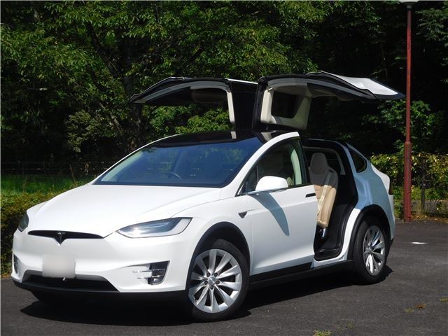 2017 Tesla MODEL X — фото 1