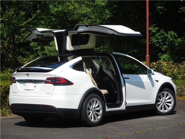 2017 Tesla MODEL X — фото 2