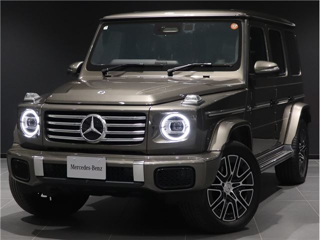 2025 Mercedes-BENZ G-CLASS — фото 1