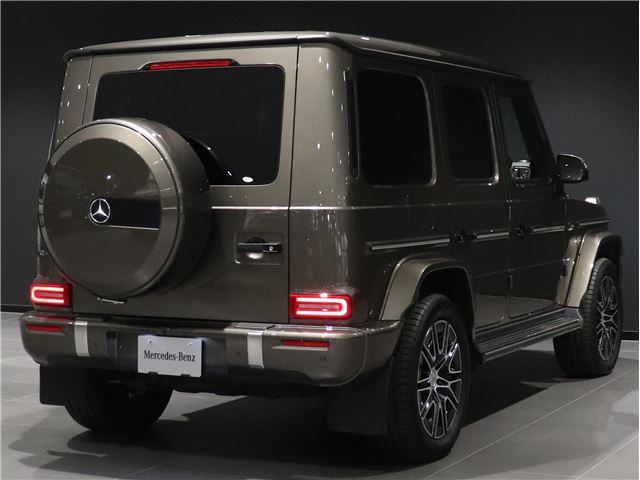 2025 Mercedes-BENZ G-CLASS — фото 15