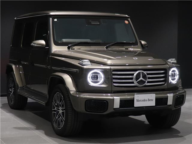 2025 Mercedes-BENZ G-CLASS — фото 11