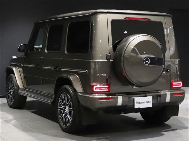 2025 Mercedes-BENZ G-CLASS — фото 16