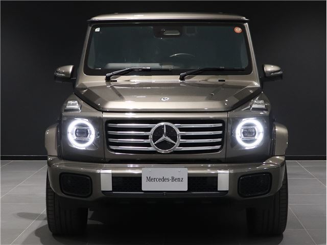 2025 Mercedes-BENZ G-CLASS — фото 10