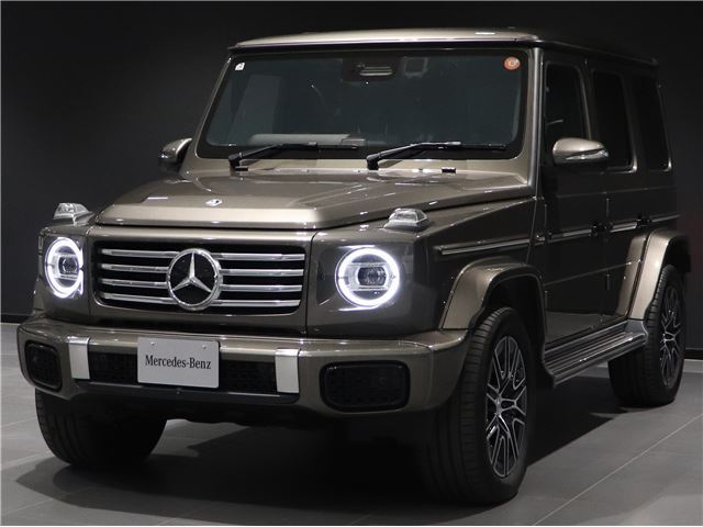 2025 Mercedes-BENZ G-CLASS — фото 9