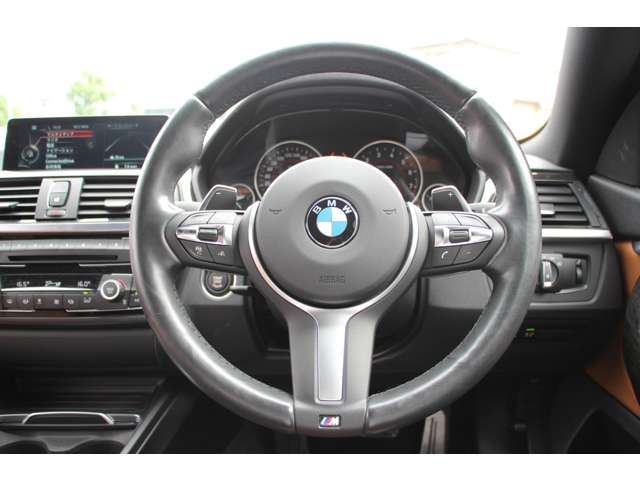 2016 BMW 4 SERIES GRAN COUPE — миниатюра 37