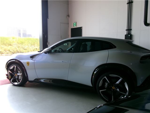 2024 Ferrari PUROSANGUE 缩略图 7