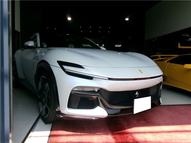 2024 Ferrari PUROSANGUE 缩略图 6