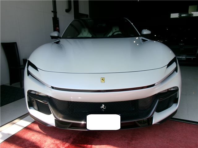 2024 Ferrari PUROSANGUE 缩略图 5