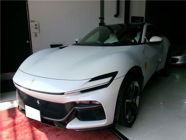 2024 Ferrari PUROSANGUE 缩略图 4