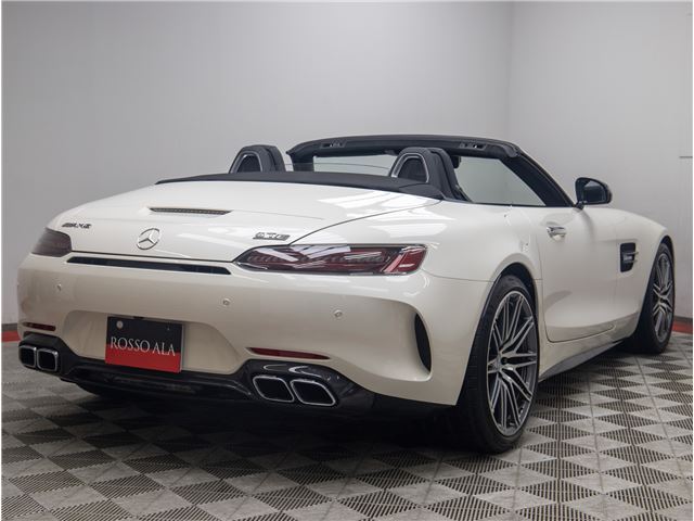 2019 Mercedes-BENZ GT AMG 缩略图 38