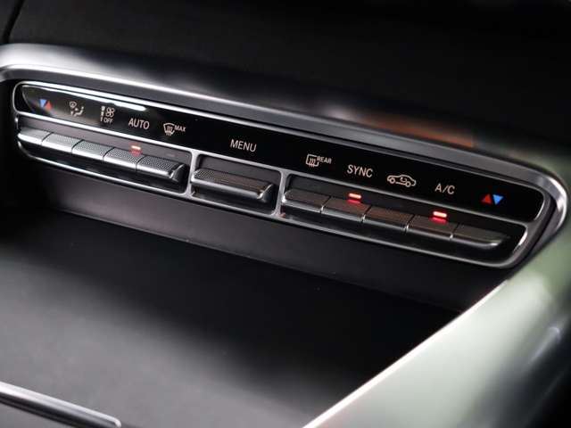 2015 Mercedes-BENZ GT AMG 缩略图 19