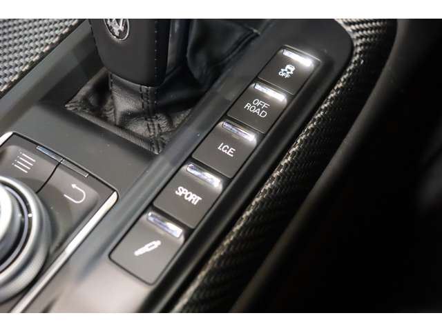 2019 Maserati LEVANTE 缩略图 14