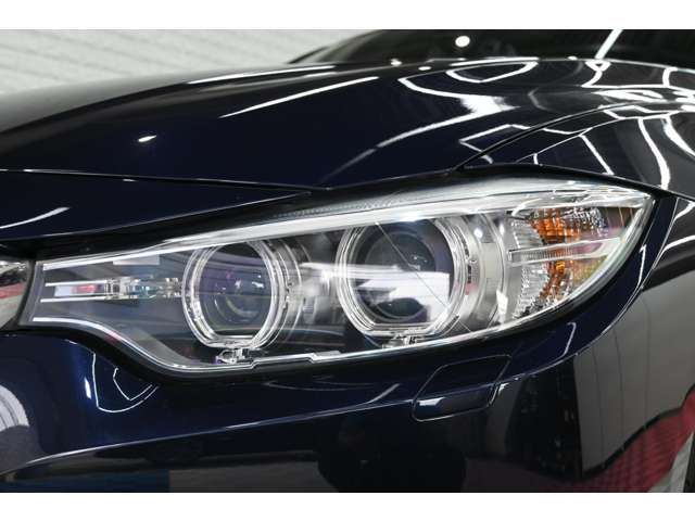 2016 BMW 4 SERIES GRAN COUPE — миниатюра 19