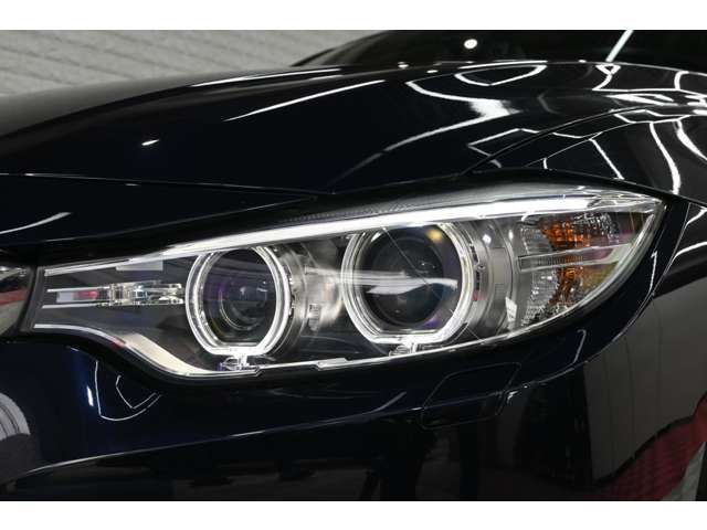 2016 BMW 4 SERIES GRAN COUPE — миниатюра 20